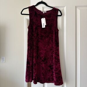 BB Dakota Velvet Mini Dress - Rich Burgundy